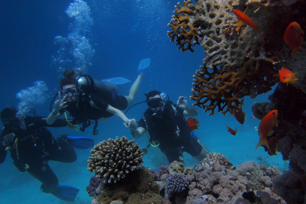 Cabo Pulmo Scuba Diving | Tours Cabo